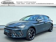 CUPRA Leon, 1.5 FL eTSI Sennheiser, Jahr 2022 - Castrop-Rauxel