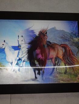 3-D Wandbild in dekorativem Rahmen zu verkaufen *Pferd* - Walsrode