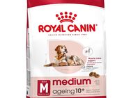 Royal Canin Medium Ageing 10+ - 3 kg