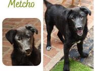 Metcho - Wendelstein