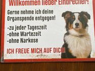 WARNSCHILD HUND - Hagen (Teutoburger Wald)