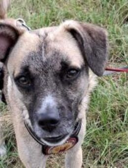 Payton sucht ihr perfect match - München