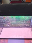 Aquarium komplett günstig abzugeben nur Abholung in 63073