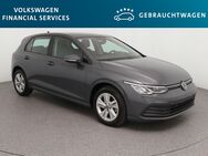 VW Golf, 2.0 TDI Life 85kW, Jahr 2022 - Braunschweig
