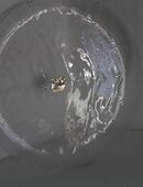 Glasschale, 32,5 cm, neu in 84359