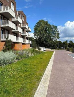 Stadtleben genießen - Ruhige Neubauwohnung in top Lage - Schleswig