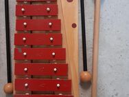 Musiktasche mit Blockflöte und Xylofon (Glockenspiel) für Kinder - Pfinztal