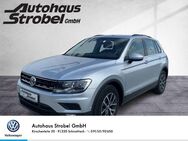 VW Tiguan 1.5 TSI Comfortline AHK Light-Ass Navi Kamera Lane-Ass Park-Ass - Schnaittach