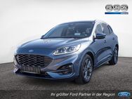 Ford Kuga, ST-LINE X, Jahr 2024 - Halle (Saale)