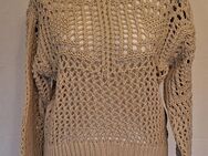 Pullover, beige, SET - Nienburg (Weser)