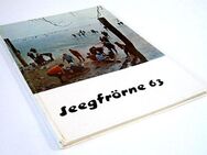 Seegfrörne 63 - Das Tagebuch vom großen Eis am Bodensee 1963 - Backnang