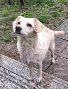 Fabia - hatte 3 Überraschungen an Bord - Mettmann