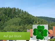 Ferienwohnung,-haus "Auf gut Glück" Lautenthal Harz, Privat - Langelsheim