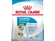 Royal Canin Mini Starter Mother & Babydog - 8 kg