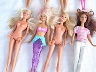 Ca 80 Teile--Barbie--Ken--Kinder--Zubehör --3 Pferde und Kleidung für dies Sachen - Meckenheim