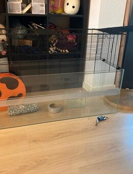 Nagerkäfig / Hamsterkäfig zu verkaufen - Bergkamen Zentrum