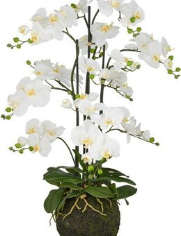 Kunstorchidee Orchidee Phalaenopsis, Creativ green, Höhe 110 cm, mit künstlichem Erdballen