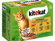 Kitekat Frischebeutel 48 x 85 g - Jagdschmaus in Sauce