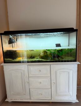 Aquarium Aquaterrarium komplett Schildkröten Guppy - Flensburg