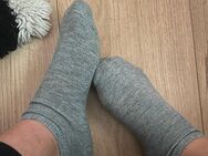 Meine getragenen (Reit) Socken für dich! - Bensheim