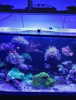 Red Sea Reefer 425 XL V3 – Komplettes Meerwassersystem mit hochwertiger Technik – 3550 € VB - Forchheim Zentrum