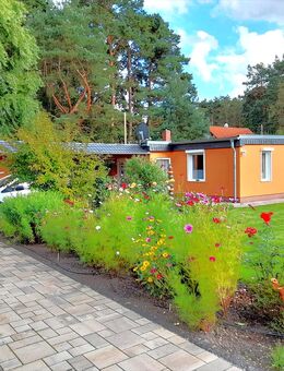 Modernisierter Bungalow mit Pool, Sauna & traumhaftem Garten in ruhiger Lage von Pätz - Bestensee