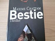 BESTIE • Thriller v. Maxime Chattam • Roman Lesen Buch Literatur Spannung - Essen