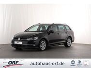 VW Golf Variant, 1.6 TDI Golf 7 Comfortline APP, Jahr 2017 - Hausen (Landkreis Rhön-Grabfeld)