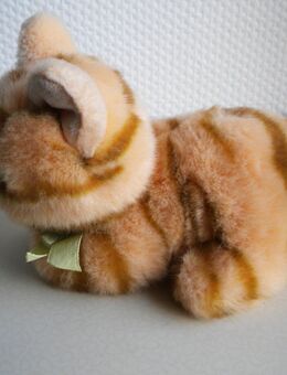 Bob der Bär-Plüsch-Kätzchen,ca. 22 cm - Linnich