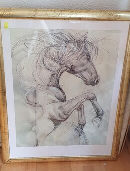 Großes Bild mit Rahmen, PFERD Leonardo Horse - Köln