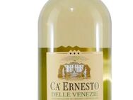 Weißwein Pinot Grigio 6x1,5l - Greifswald