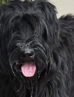 MAY - ein echtes Goldstück! - Sulzbach-Laufen