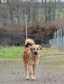 Tolle Jana im Saarland in 66636