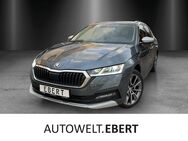 Skoda Octavia, 2.0 TDI Combi Scout, Jahr 2021 - Heidelberg