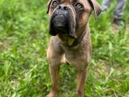 Nero❤️in 83543 Rott am Inn - Rott (Inn)