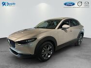 Mazda CX-30, e X 186 EXCLUSIVE-LINE, Jahr 2022 - Rutesheim