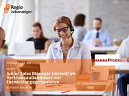 Junior Sales Manager (m/w/d) im Vertriebsaußendienst mit Entwicklungsperspektive - Kaiserslautern