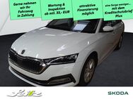 Skoda Octavia, 2.0 TSI Combi Style, Jahr 2024 - Wangen (Allgäu)