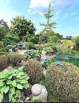 Geschmackvolles EFH/ Bungalow in guter Lage von Bienenbüttel/Lüneburger Heide - Bienenbüttel