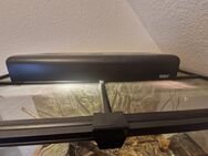 2 König Python und Terrarium - Frankfurt (Main) Bergen-Enkheim