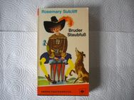 Bruder Staubfuß,Rosemary Sutcliff,Arena Verlag,1964 - Linnich