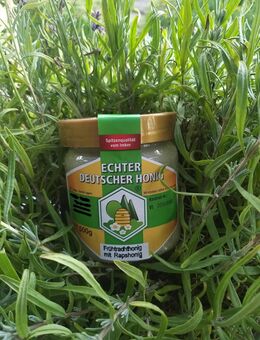 Honig aus Hobby imkerei - Werther (Westfalen)