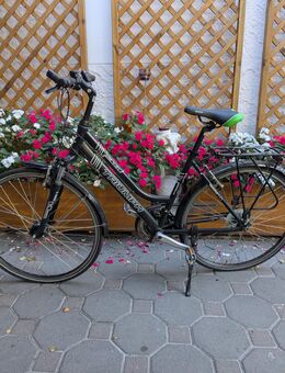 Damen/ Herrenfahrrad - Bremen