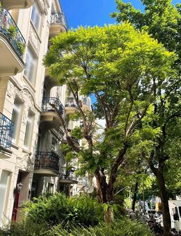 Kuscheliger Jugendstil braucht kleine Renovierungen - Hamburg