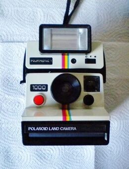 Polaroid Land Camera 1000 mit Polatronic 1-Sofortbildkamera,70er Jahre - Linnich