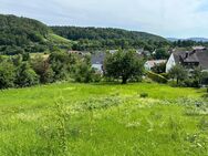 BAUPLATZ IN SÜDHANGLAGE - Weinsberg