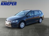 VW Golf Variant, 1.6 TDI, Jahr 2019 - Zetel