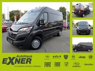 Opel Movano Cargo 2.2 Edition L2H2 3,5t Klima - Hof