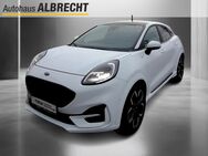 Ford Puma, ST-Line X M-Hybrid, Jahr 2019 - Brandenburg (Havel)