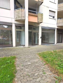 Große Wohnung in Südstadt zu vermieten! - Singen (Hohentwiel)